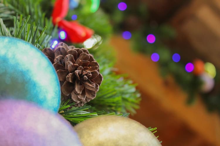 Una Mágica Navidad